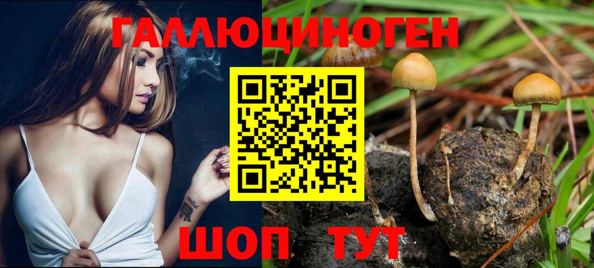 Псилоцибиновые грибы Magic Shrooms  Вход с VPN  Коломна 